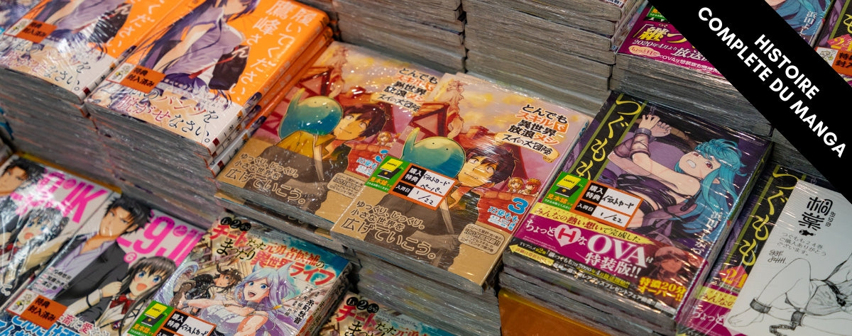 Histoire complète du manga japonais