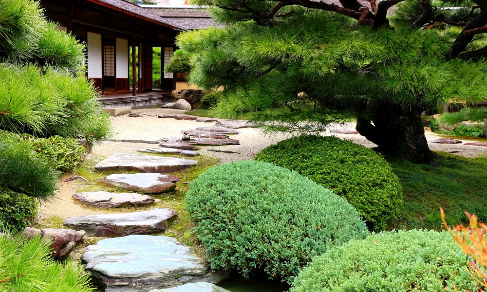 Jardin zen japonais karesansui : pas japonais, mousse et arbustes taillés dans une cour de temple close
