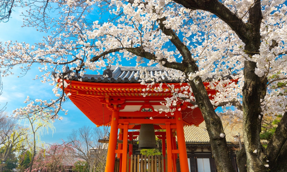 Les fleurs symboliques du Japon et leur message