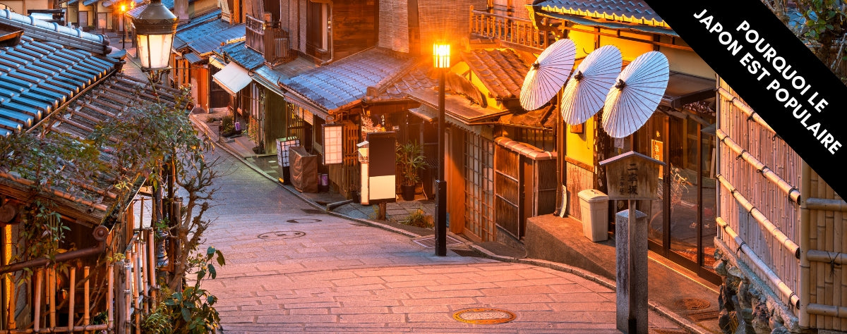 Pourquoi la culture japonaise est si populaire ?