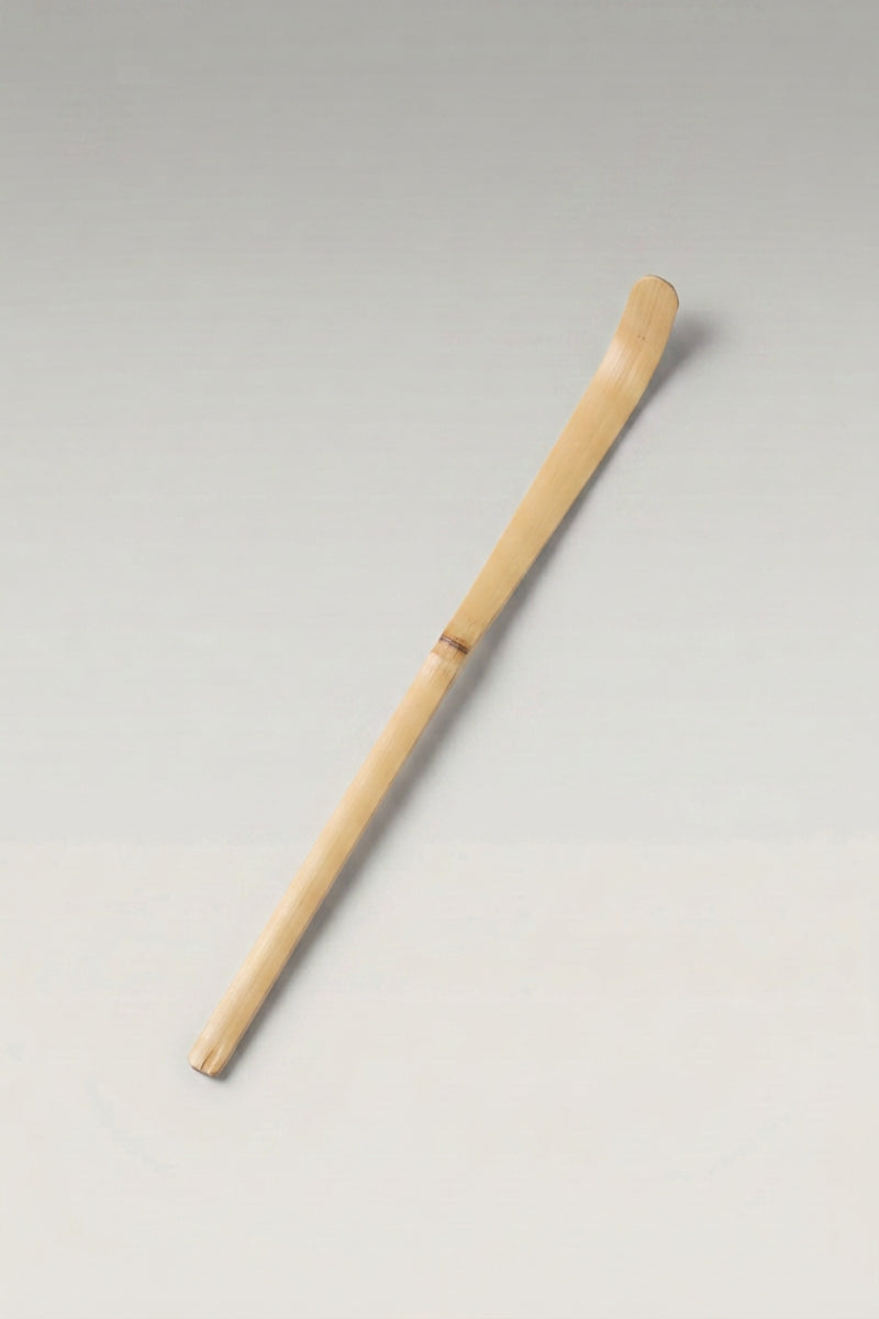 Chashaku en bambou beige, cuillère à matcha japonaise